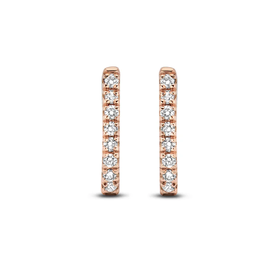 Fine Diamonds Earrings, White Diamond