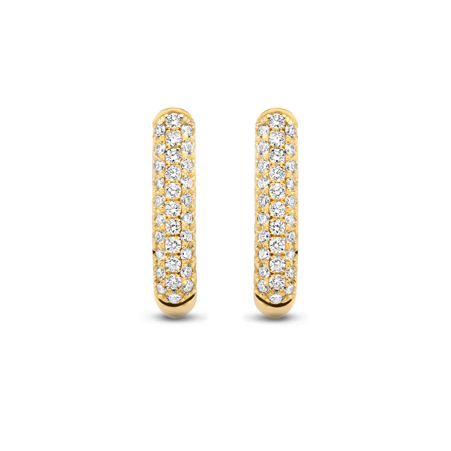 Fine Diamonds Earrings