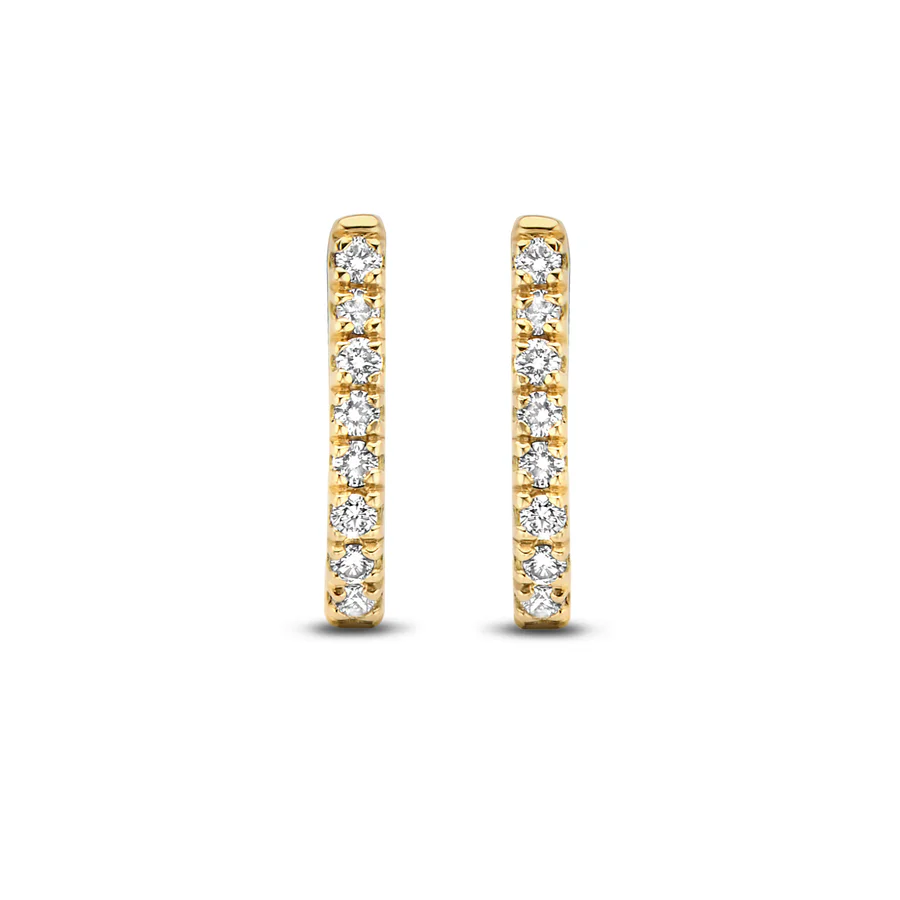 Fine Diamonds Earrings